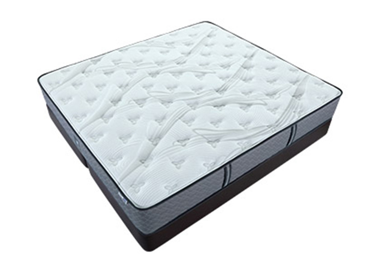 未标题-3_0000_fe2c4e0ae167d2a749a95bc65438be0c